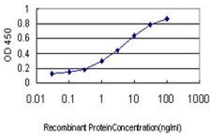 Detection limit for recombinant GST tagged SF1 is approximately 0.