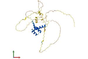 Protein Structure (PS) image for GS Homeobox 2 (GSX2) (AA 1-305) protein (His tag) (ABIN7563113)