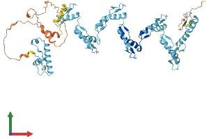 Protein Structure (PS) image for Zinc Finger Protein 92 (ZNF92) (AA 1-586) protein (His tag) (ABIN7545855)