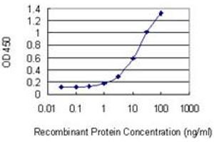 Detection limit for recombinant GST tagged GFAP is 0. (GFAP 抗体  (AA 131-230))