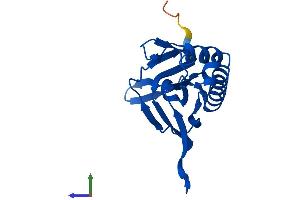 Protein Structure (PS) image for Chromosome 14 Open Reading Frame 126 (C14orf126) (AA 1-168) protein (His tag) (ABIN7558621)