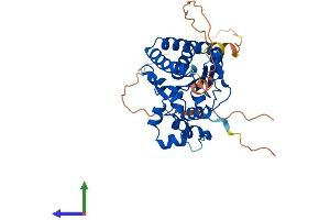 Protein Structure (PS) image for SRR1 Domain Containing (SRRD) (AA 1-339) protein (His tag) (ABIN7546314)