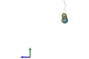 AlphaFold protein structure predicition of Mouse Recombinant Phxr2 Protein, UniprotID P15972