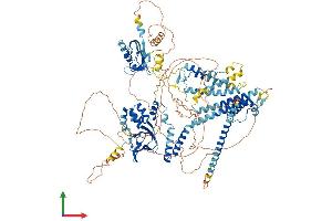 Protein Structure (PS) image for Potassium Voltage-Gated Channel, Subfamily H (Eag-Related), Member 8 (KCNH8) (AA 1-1102) protein (His tag) (ABIN7563473)