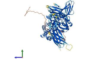 Protein Structure (PS) image for Endo-beta-N-Acetylglucosaminidase (ENGASE) (AA 1-734) protein (His tag) (ABIN7558991)