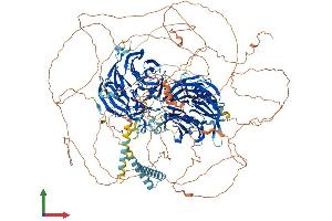 Protein Structure (PS) image for Mitogen-Activated Protein Kinase Binding Protein 1 (MAPKBP1) (AA 1-1503) protein (His tag) (ABIN7564054)