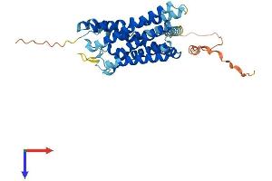 G Protein-Coupled Receptor 68 (GPR68) (AA 1-365) protein (His tag)