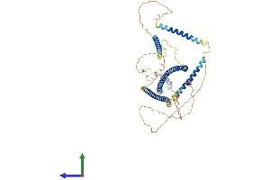 Protein Structure (PS) image for Synovial Sarcoma, X Breakpoint 2 Interacting Protein (SSX2IP) (AA 1-614) protein (His tag) (ABIN7551983)