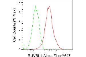Flow cytometric analysis of RUVBL1 expression in HepG2 cells using RUVBL1 antibody (ABIN7800967), 1:2,000). (Recombinant RuvB Like AAA ATPase 1 抗体)