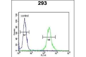 MR Antibody (N-term) 9980a flow cytometric analysis of 293 cells (right histogram) compared to a negative control cell (left histogram). (MRAP 抗体  (N-Term))