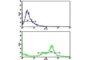 Flow Cytometry (FACS) image for anti-Complement Component 6 (C6) (AA 30-58) antibody (ABIN3029693)