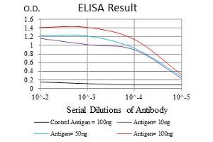 ELISA image for anti-Neurofilament, Light Polypeptide (NEFL) antibody (ABIN1108416)