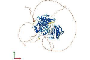 Protein Structure (PS) image for DEAD Box Protein 4 (DDX4) (AA 1-724) protein (His tag) (ABIN7553626)