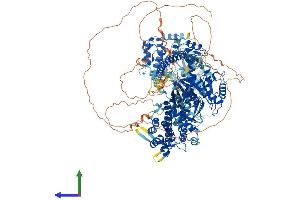 AlphaFold protein structure predicition of Human Recombinant MYO3B Protein, UniprotID Q8WXR4