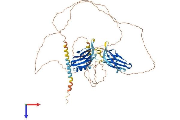 SYT16 Protein (AA 1-639) (His tag)