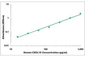Representative Standard Curve (CXCL10 ELISA 试剂盒)