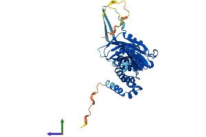Protein Structure (PS) image for Speckle-Type POZ Protein (SPOP-B) (AA 1-374) protein (His tag) (ABIN7564174)