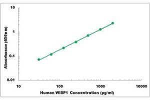 Representative Standard Curve (WISP1 ELISA 试剂盒)