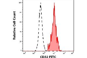 Separation of human CD32 positive lymphocytes (red-filled) from CD32 negative lymphocytes (black-dashed) in flow cytometry analysis (surface staining) of human peripheral whole blood stained using anti-human CD32 (3D3) FITC antibody (4 μL reagent / 100 μL of peripheral whole blood). (Fc gamma RII (CD32) 抗体 (FITC))