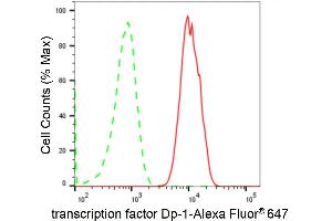 Flow cytometric analysis of transcription factor Dp-1 expression in C2C12 cells using transcription factor Dp-1 antibody (ABIN7800593), 1:2,000).