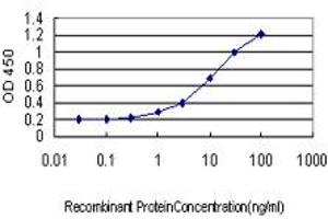 Detection limit for recombinant GST tagged RPL10 is approximately 0. (RPL10 抗体  (AA 1-100))