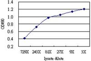 TPP1 (Human) Matched Antibody Pair