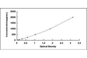 Typical standard curve (LECT1 ELISA 试剂盒)