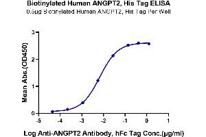 Immobilized Biotinylated Human ANGPT2, His Tag at 5 μg/mL (100 μL/Well) on the Streptavidin Procated plate. (Angiopoietin 2 Protein (ANGPT2) (AA 275-496) (His-Avi Tag,Biotin))