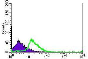 Flow cytometric analysis of MOLT4 cells using TGFBR3 mouse mAb (green) and negative control (purple). (TGFBR3 抗体  (AA 147-328))