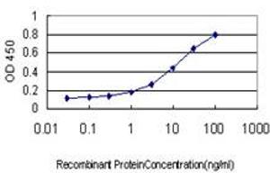 Detection limit for recombinant GST tagged TDP1 is approximately 0. (TDP1 抗体  (AA 1-608))