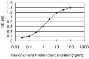 Detection limit for recombinant GST tagged HOXA11 is approximately 0. (Homeobox A11 抗体  (AA 60-166))