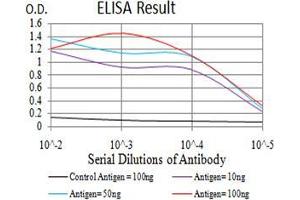 Black line: Control Antigen (100 ng);Purple line: Antigen (10ng); Blue line: Antigen (50 ng); Red line:Antigen (100 ng) (KLF2 抗体  (AA 251-355))