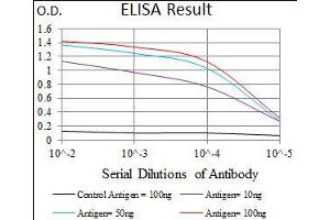 Black line: Control Antigen (100 ng), Purple line: Antigen(10 ng), Blue line: Antigen (50 ng), Red line: Antigen (100 ng), (Chromogranin A 抗体  (AA 87-252))