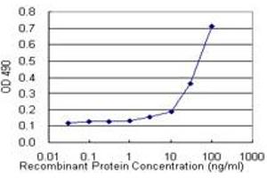 Sandwich ELISA detection sensitivity ranging from 3 ng/mL to 100 ng/mL. (IL13 (人) Matched Antibody Pair)