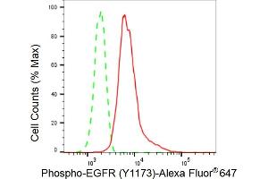 Flow cytometric analysis of Phospho-EGFR (Y) expression in HepG2 cells using Phospho-EGFR (Y) antibody (ABIN7798469), 1:2,000). (Recombinant EGFR 抗体  (pTyr1173))