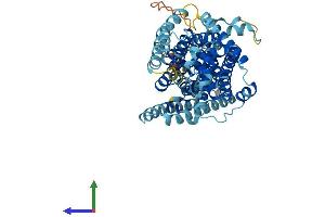 Protein Structure (PS) image for Solute Carrier Family 11 (Proton-Coupled Divalent Metal Ion Transporters), Member 1 (SLC11A1) (AA 1-550) protein (His tag) (ABIN7554750)