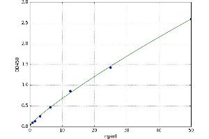 Signal Transducer and Activator of Transcription 5B (STAT5B) ELISA Kit