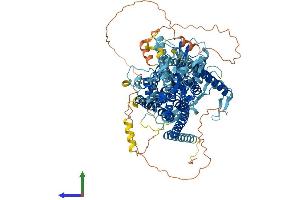 Protein Structure (PS) image for Anoctamin 3 (ANO3) (AA 1-981) protein (His tag) (ABIN7561913)
