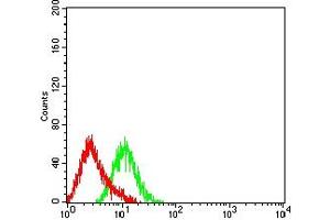 Flow cytometric analysis of HL-60 cells using CD307A mouse mAb (green) and negative control (red). (FCRL1 抗体  (AA 17-202))