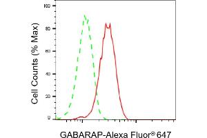 Flow cytometric analysis of GABARAP expression in HepG2 cells using GABARAP antibody (ABIN7798680), 1:2,000).