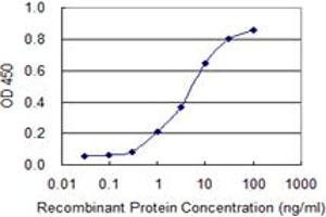 Detection limit for recombinant GST tagged TIMM8B is 0. (TIMM8B 抗体  (AA 1-83))