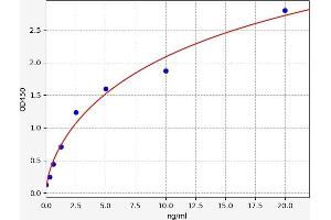Typical standard curve (BTNL2 ELISA 试剂盒)