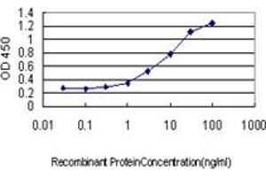 Detection limit for recombinant GST tagged UCHL3 is approximately 0. (UCHL3 抗体  (AA 131-230))