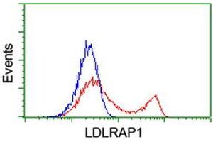HEK293T cells transfected with either RC206643 overexpress plasmid (Red) or empty vector control plasmid (Blue) were immunostained by anti-LDLRAP1 antibody (ABIN2455230), and then analyzed by flow cytometry. (LDLRAP1 抗体)