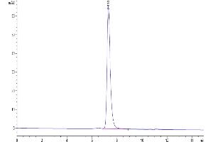 Size-exclusion chromatography-High Pressure Liquid Chromatography (SEC-HPLC) image for Poliovirus Receptor-Related 4 (PVRL4) (AA 31-347) protein (His tag) (ABIN7275318)