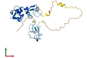 Protein Structure (PS) image for Chromosome 11 Open Reading Frame 46 (C11orf46) (AA 1-276) protein (His tag) (ABIN7558686)