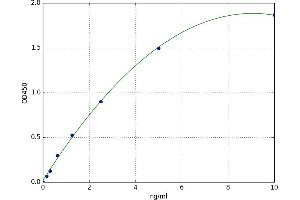 Cystatin B (Stefin B) (CSTB) ELISA Kit
