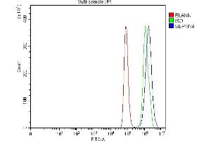Flow Cytometry analysis of Hela cells using anti-SEPT4/SEPTIN4 antibody (ABIN7600345).