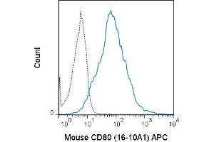 C57Bl/6 splenocytes were stimulated with anti-IgM and anti-CD40 for 4 days. (CD80 抗体  (APC))