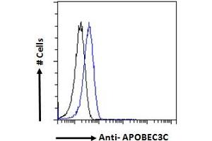 ABIN334348 Flow cytometric analysis of paraformaldehyde fixed HeLa cells (blue line), permeabilized with 0. (APOBEC3C 抗体  (C-Term))